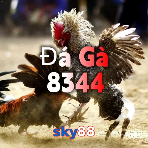sky88